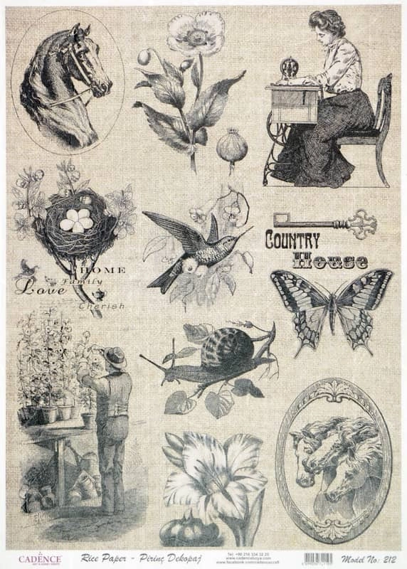 Rice Paper – Country House