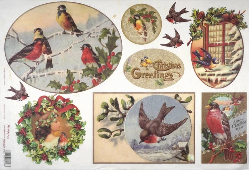 Stamperia Rice Paper 33x49cm  – Christmas Greeting Birds DFS229