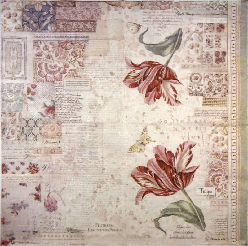 Stamperia Rice Paper – Botanic Tulip (50 x 50cm)
